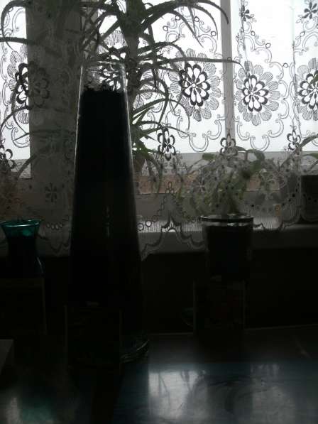 Вазариум в Москве фото 8