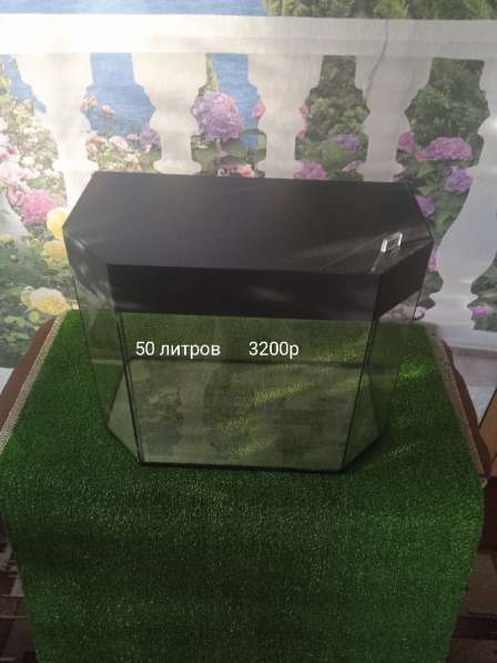 Аквариум в Белово фото 5