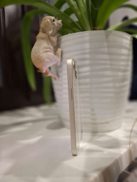 Apple iPhone 13 в Новосибирске фото 4