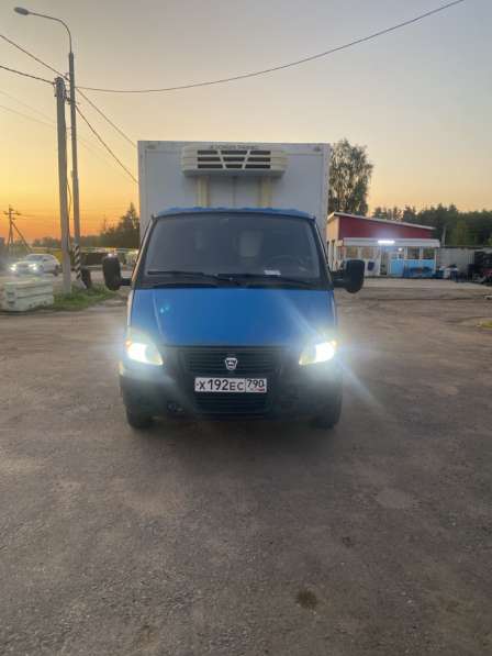 Газель в Бронницах