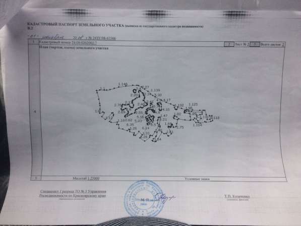 Продам участок 200га в Красноярском крае в Красноярске фото 10
