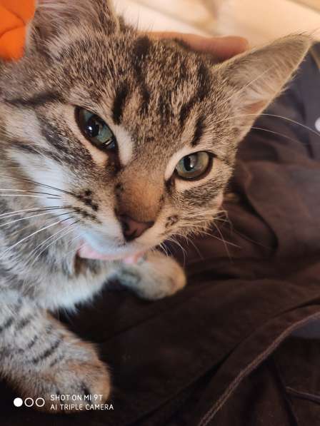 Жак ищет кров в Москве фото 6