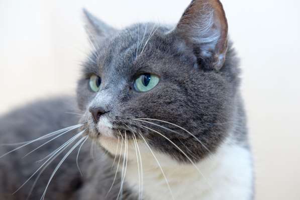 Нежная Пайпер ждет встречи с лучшим другом в Москве фото 3