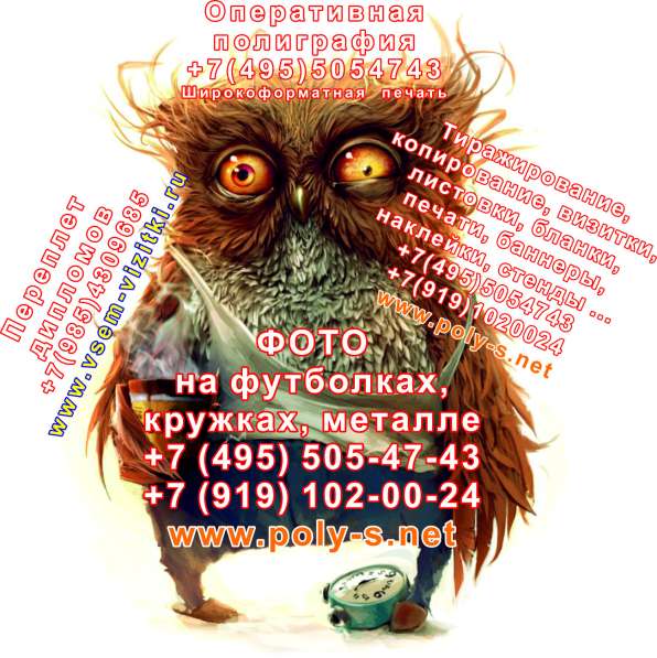 Переплет дипломов, диссертаций, проектов ЮВАО +7(Ч95)5O5Ч7ЧЗ в Москве фото 3