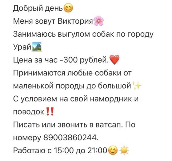 Выгул собак по городу Урай в Урае