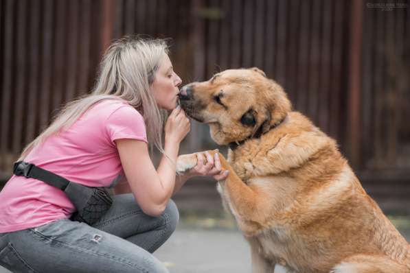 Кохинор ищет семью в Москве фото 52