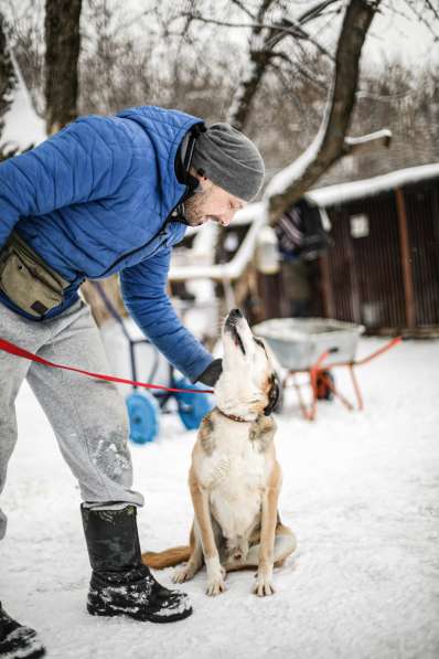 Молодой энергичный Майор ищет семью в Москве фото 26