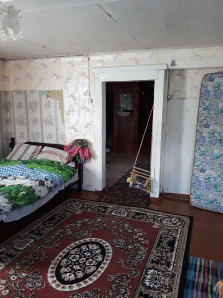 Продается дом с баней и участок в сосновом бору в Пикалево фото 3
