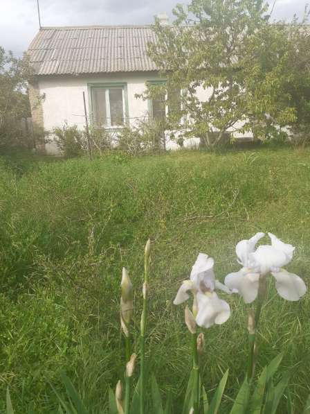 Продается дом в селе Успенка в фото 8
