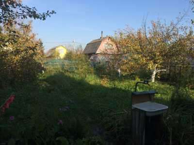 Дача в Ногинске фото 5