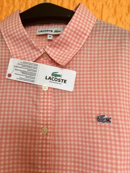 Новая рубашка LACOSTE в Москве