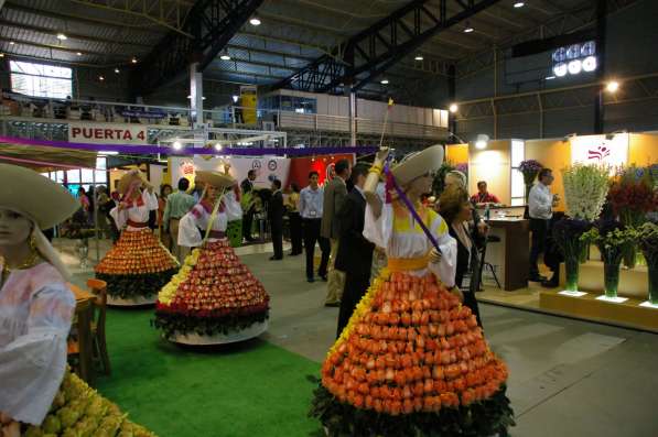 Доставка цветов Эквадора, Колумбии, Кении, Голландии в Москве фото 4