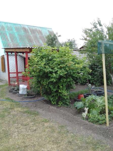 Продается дача в Волгограде фото 16