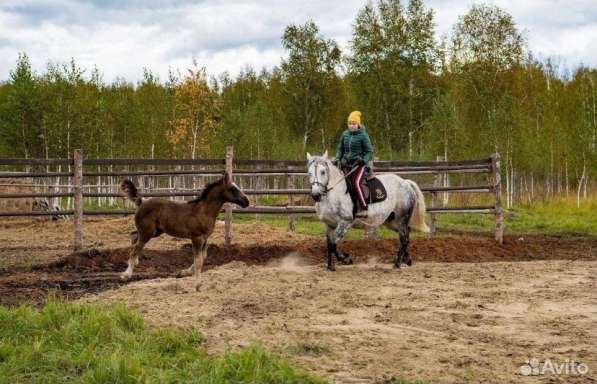 Продам участок, отличное расположение и красивая природа в Тюмени фото 3