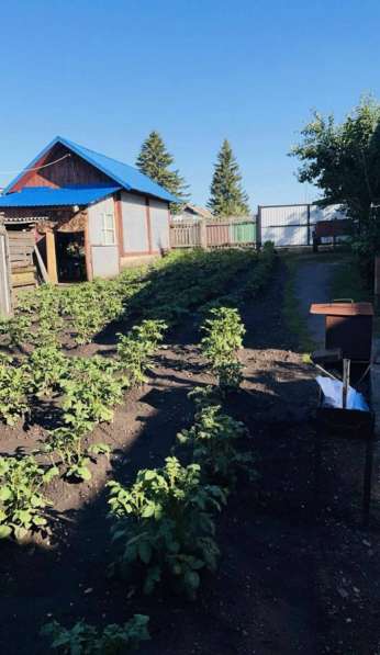 Продам дом в Красноярске фото 9