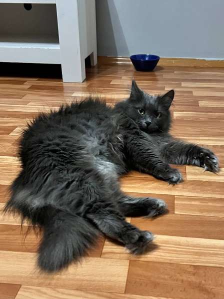 Шикарная Марси в фото 3