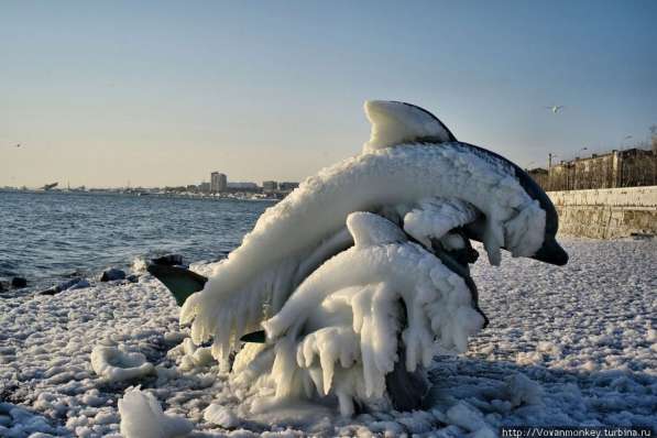 ИЗ РУК В РУКИ (НОВОРОССИЙСК