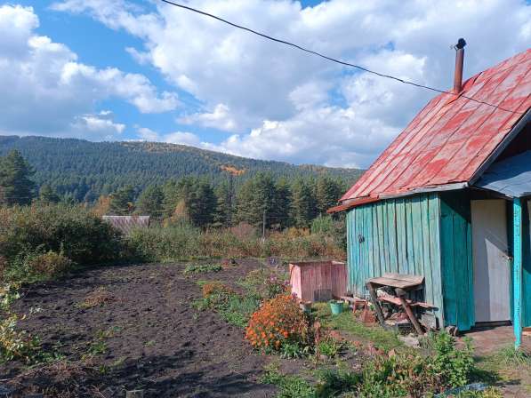 Сад в г. Белорецк в Магнитогорске фото 4