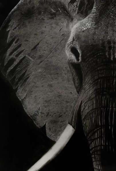 Картина в реализме