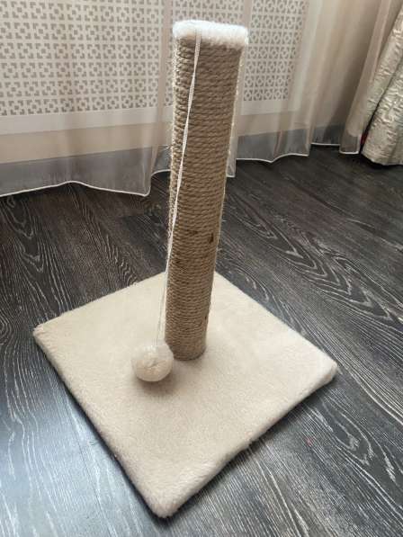 Когтеточка в Москве