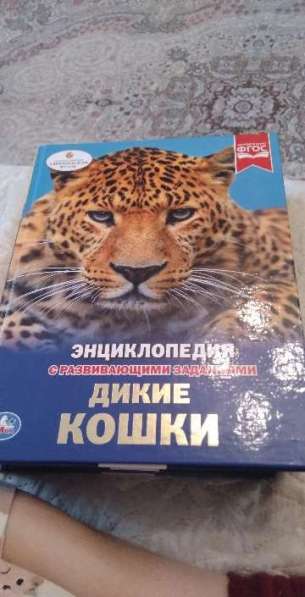 Продаю книги в Москве фото 3