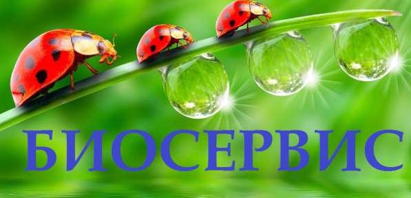 Продажа, аренда и обслуживание биотуалетов в Севастополе