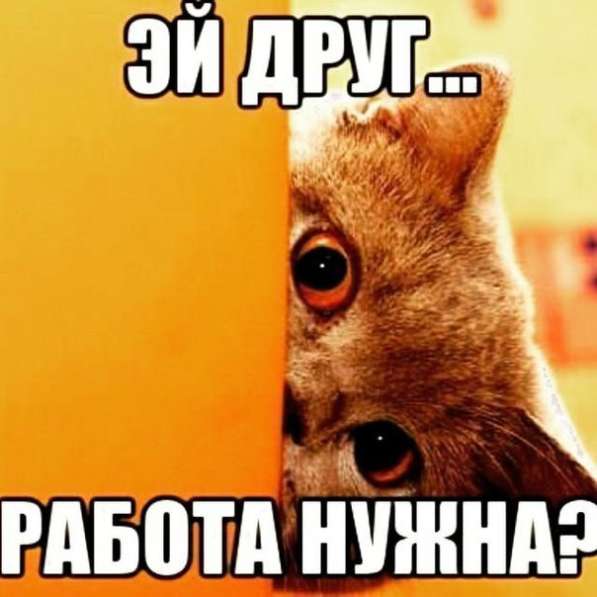 Организатор в офис