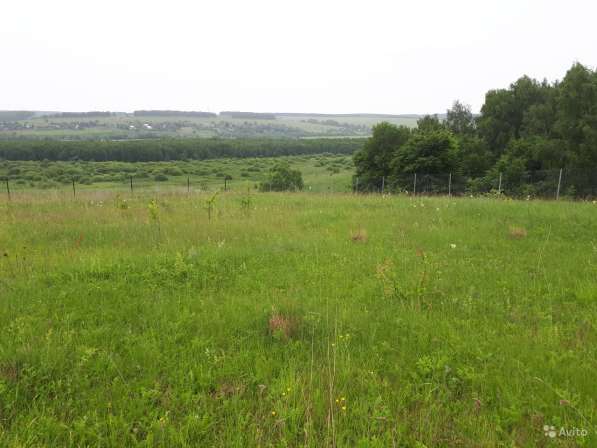 Участок 15 соток в Туле фото 13