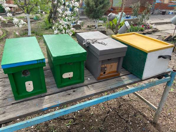 Инвентарь пчеловода в Новошахтинске фото 3