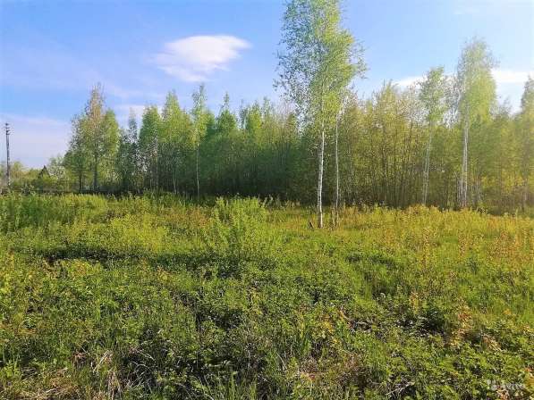 Участок 7.7 сот. (СНТ, ДНП) в Электростале фото 4