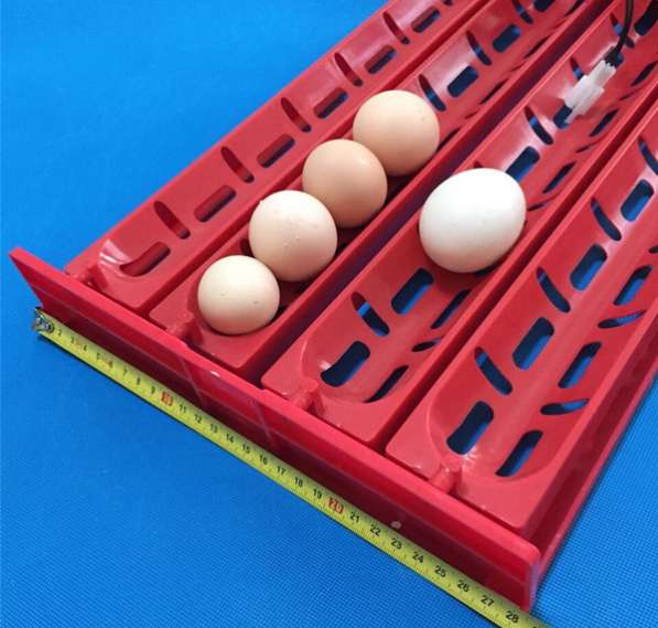 ✔ ✔ ✔ Лотки с переворотом для инкубатора на 40 гусиных яиц в Астрахани фото 3