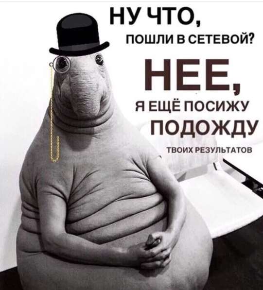 Проект в интернете