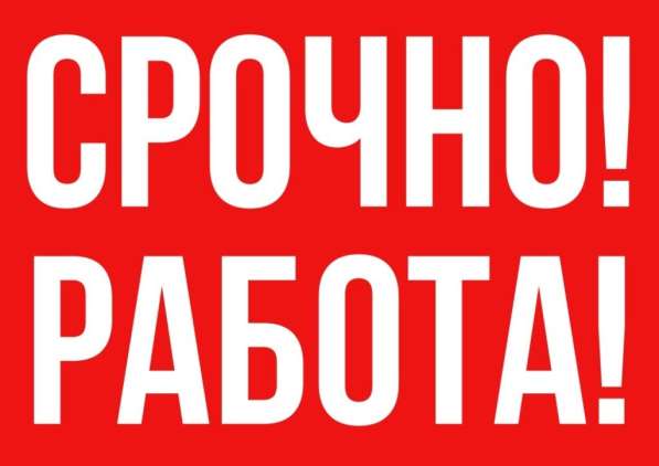 Помощник руководителя регионального центра