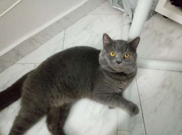 Вязка в фото 7