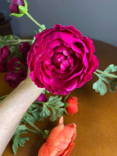 Цветы для интерьера в Коломне фото 3