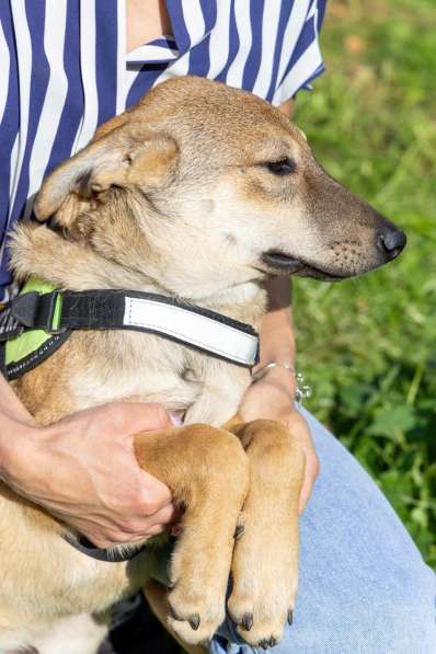 Сироте Марселю нужен дом в Москве фото 6