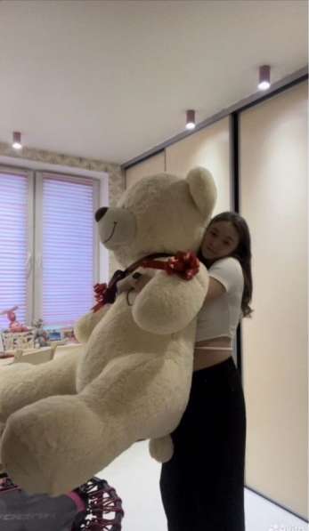 Плюшевый медведь в Екатеринбурге