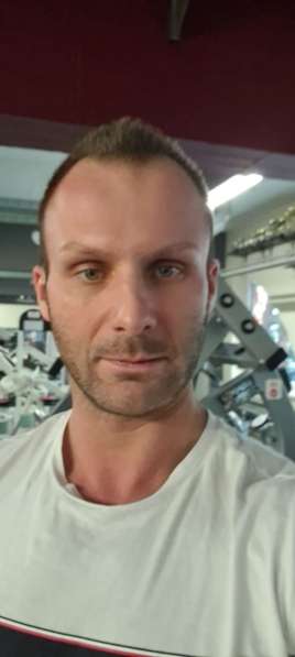 Американский стаффордширский терьер в Москве фото 43