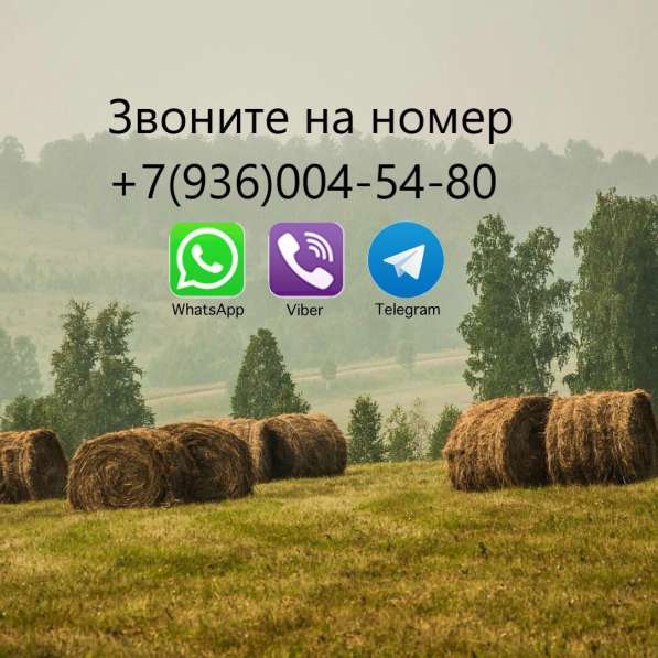 Сдается комната у киевского вокзала, Кутузовский проспект, 9 в Москве