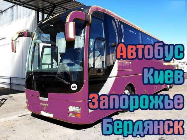 Автобус Киев Бердянск в фото 7
