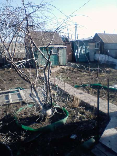 Продается пол дома собственник, прямая продажа в Барнауле фото 21