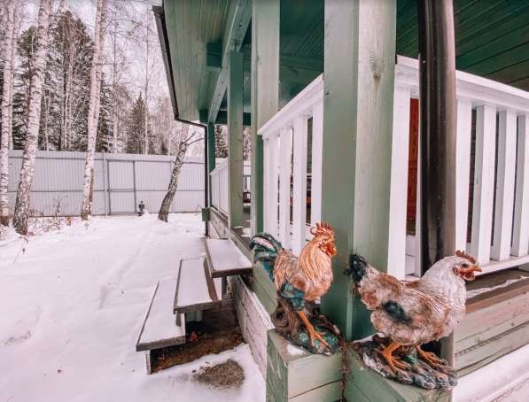 Сказочная тишина, пение птиц, запах затопленной бани в Красноярске фото 20