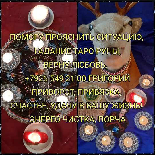 Книга в Сочи фото 6