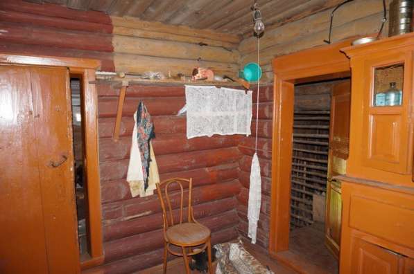 Бревенчатый дом в тихой деревне, рядом с рекой и лесом в Мышкине фото 9