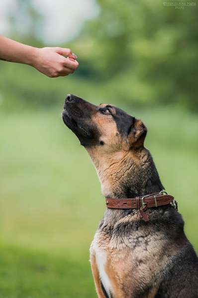 Брюс ищет семью в Москве фото 19