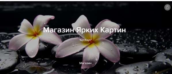 Интернет-магазин товаров домашнего декора в Тольятти фото 5