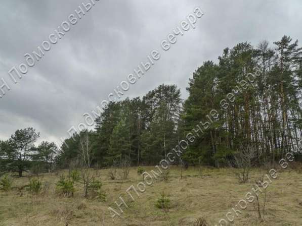 realty_mapper3.plot_in_locationПлощадь 31.00 сот.Есть Электричество, Газ. в Москве фото 8