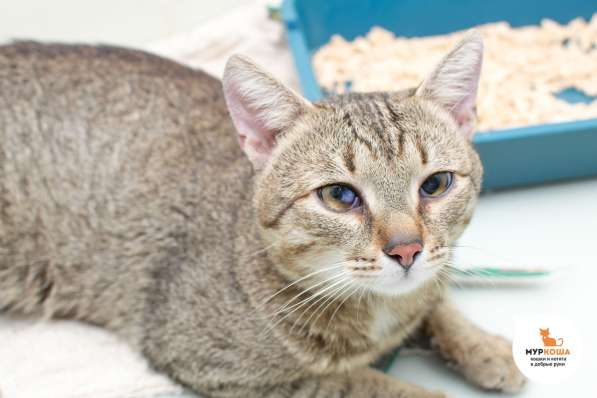 О чём мечтает Лионель Месси в Москве