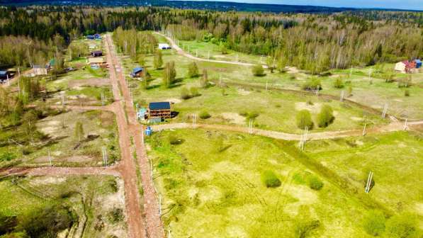 Участки возле леса окружения леса в Дмитрове фото 8