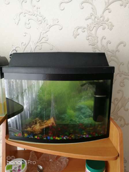 Продаются 2 аквариума вместе с акссесуароми в Саранске